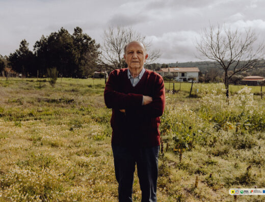 João Júlio Gomes de Campos