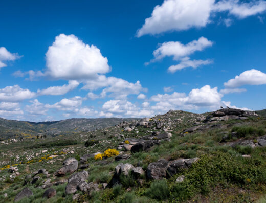 Vistas Gerais